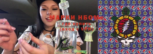 прущие грибы Богородицк