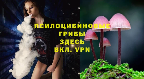 прущие грибы Богородицк