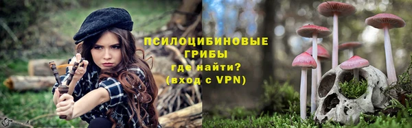 бошки Богданович
