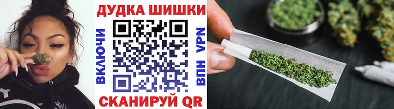 Бошки марихуана планчик  продажа наркотиков  Шумиха 
